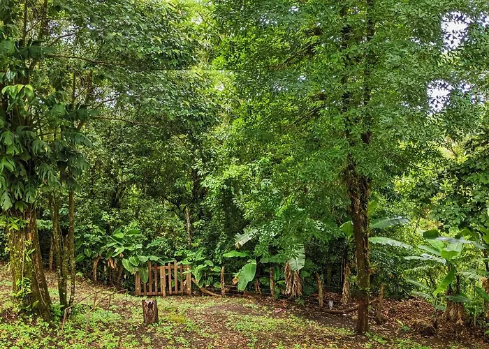 Habitación en casa particular Grand Luna - Monteverde *